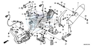 VFR1200XDC drawing EXHAUST MUFFLER