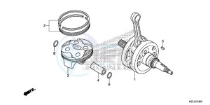 CRF150RE CRF150R Europe Direct - (ED) drawing CRANKSHAFT/PISTON