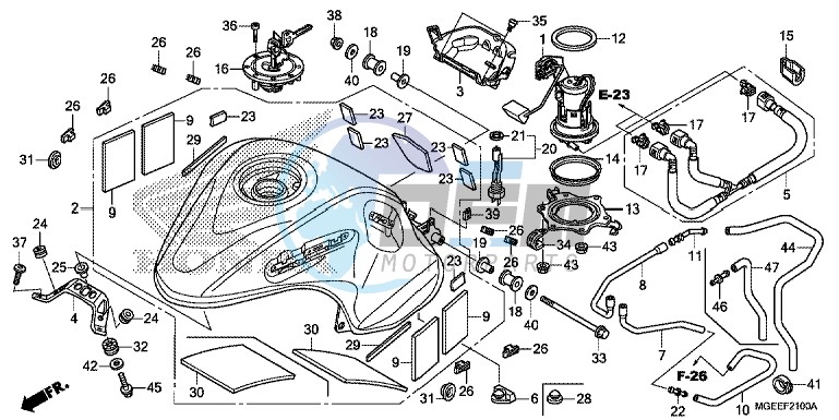 FUEL TANK/ FUEL PUMP