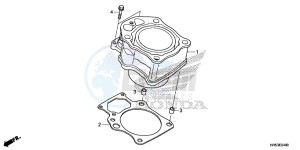 TRX500FM6F TRX500FM Australia - (U) drawing CYLINDER