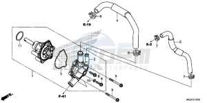 CB500FAD CB500F ABS Continue » UK - (E) drawing WATER PUMP