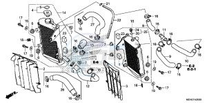 CRF450RG CRF450R Europe Direct - (ED) drawing RADIATOR