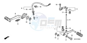 CB600F9 France - (F / CMF) drawing PEDAL