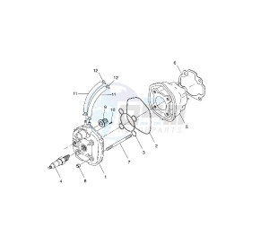 NS AEROX 50 drawing CYLINDER AND HEAD