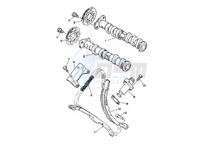 TDM 850 drawing CAMSHAFT -CHAIN