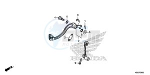 CRF250R Europe Direct - (ED) drawing PEDAL