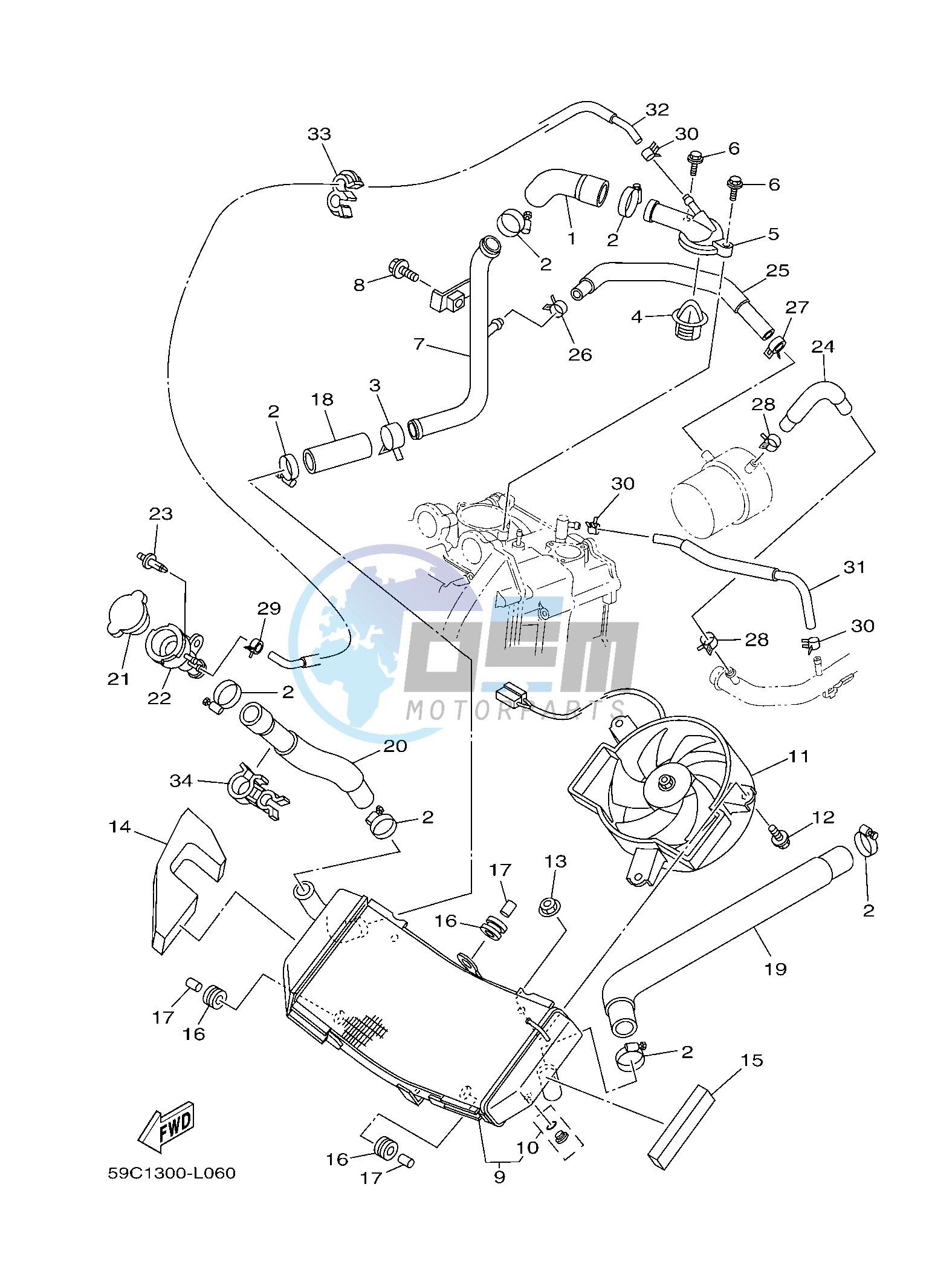 RADIATOR & HOSE