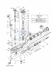 F100BETL drawing PROPELLER-HOUSING-AND-TRANSMISSION-1