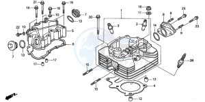 TRX250TM FOURTRAX RECON drawing CYLINDER HEAD