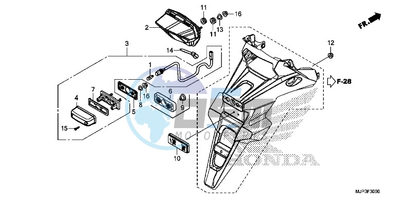 TAILLIGHT/LICENSE LIGHT