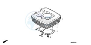 TRX250XC drawing CYLINDER