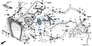 CBR1000RAG CBR1000 - Fireblade ABS Europe Direct - (ED) drawing RADIATOR