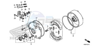 TRX250TEG TRX250T Europe Direct - (ED) drawing REAR BRAKE DRUM