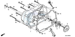 CRF50FB CRF50F ED drawing RIGHT CRANKCASE COVER