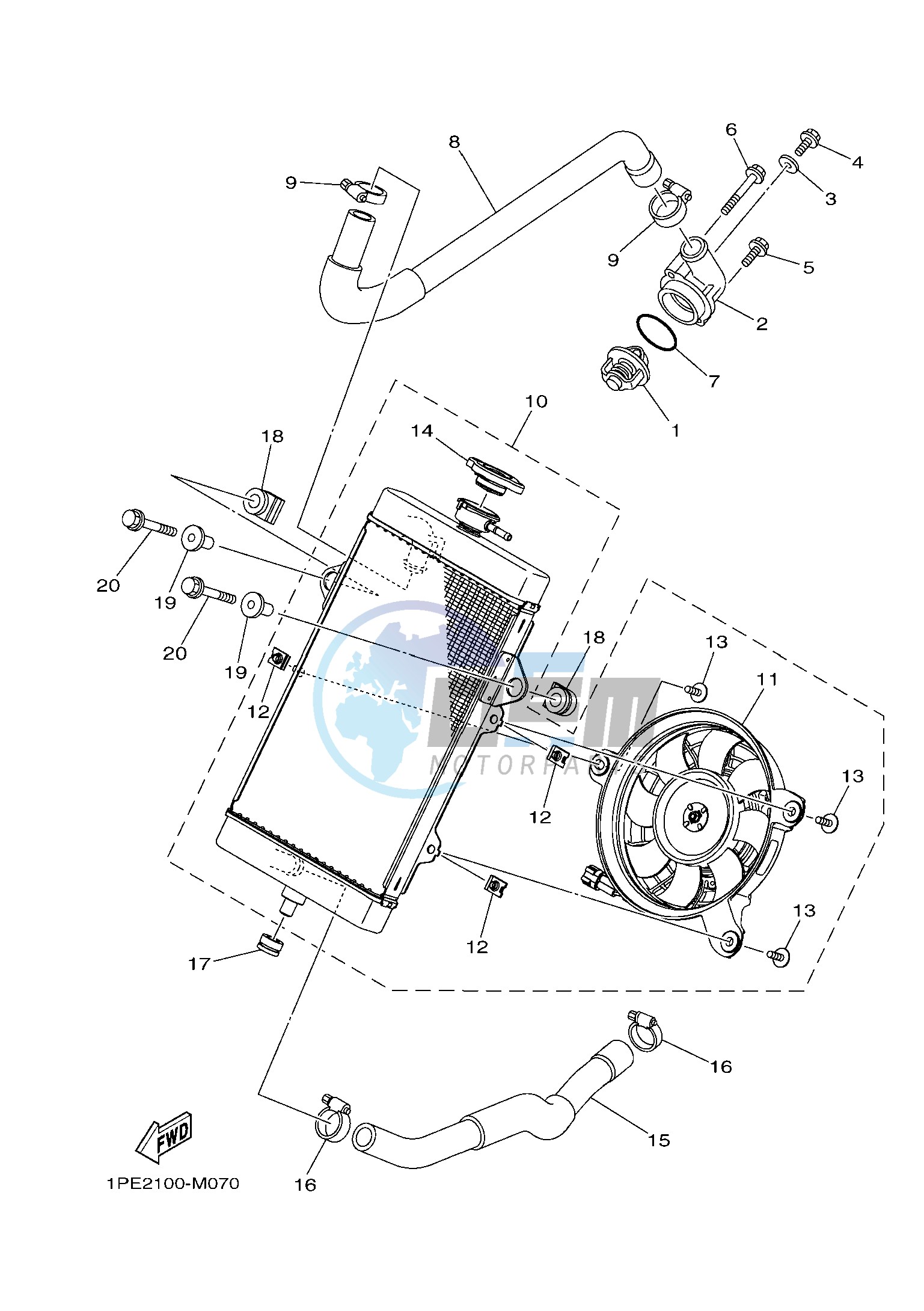 RADIATOR & HOSE