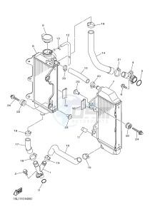 YZ450F (B115 B116 B117) drawing RADIATOR & HOSE