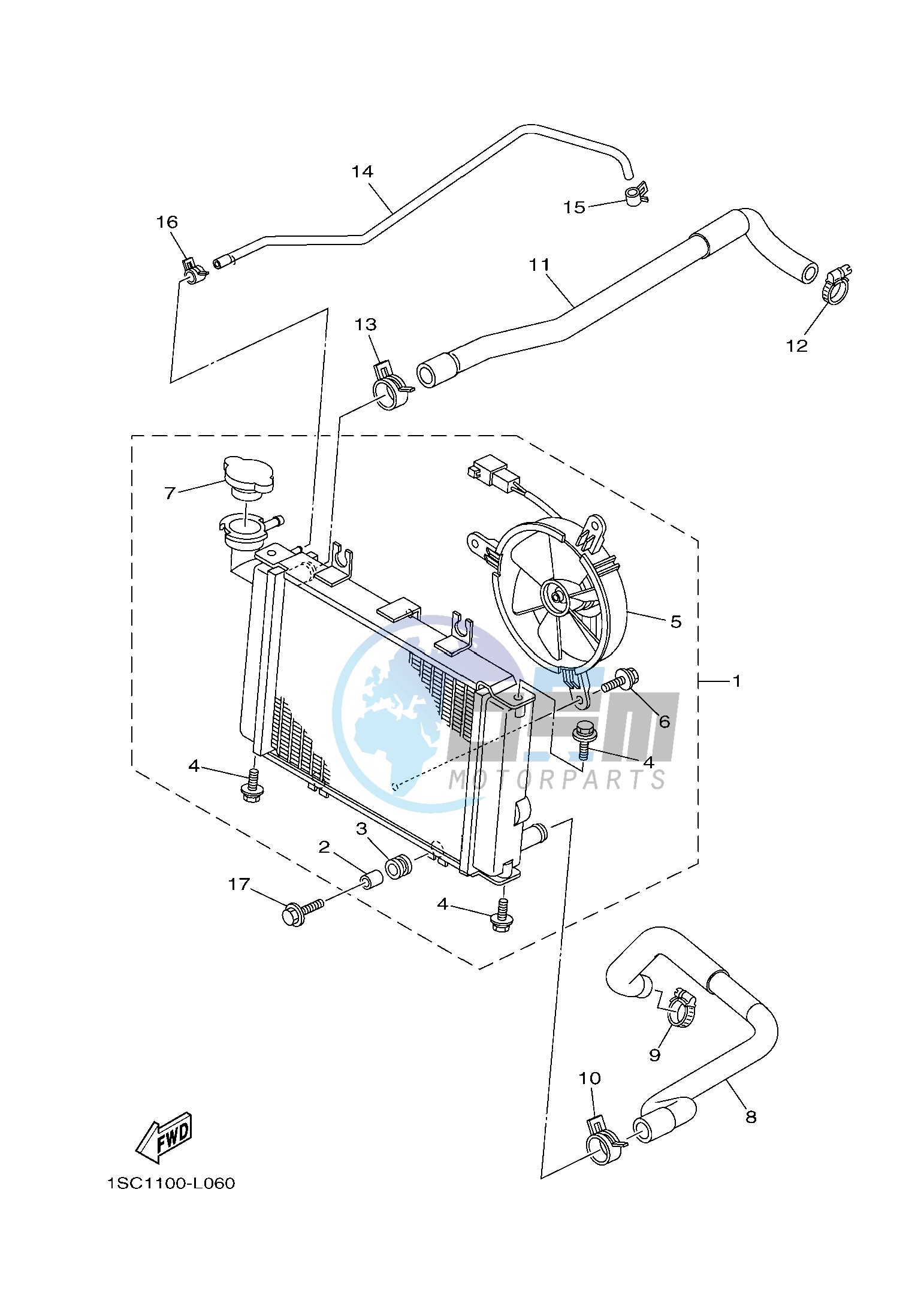 RADIATOR & HOSE