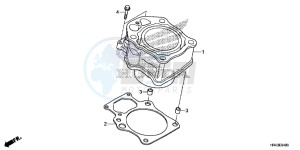 TRX500FM1F TRX500FM Europe Direct - (ED) drawing CYLINDER