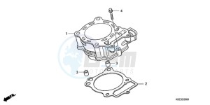 CRF150R9 Australia - (U) drawing CYLINDER