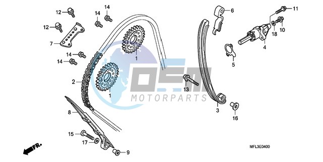 CAM CHAIN/TENSIONER