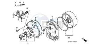 TRX250TM9 Australia - (U) drawing REAR BRAKE DRUM