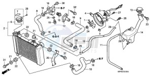 CBR125RW9 U / WH drawing RADIATOR (CBR125RW7/RW9/RWA)