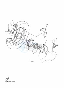 PW50 (2SAU) drawing REAR WHEEL