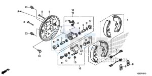 TRX250TEG TRX250T Europe Direct - (ED) drawing FRONT BRAKE PANEL