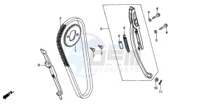 CMX250C REBEL drawing CAM CHAIN/TENSIONER