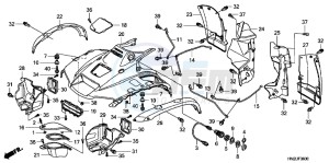 TRX500FPAC drawing FRONT FENDER