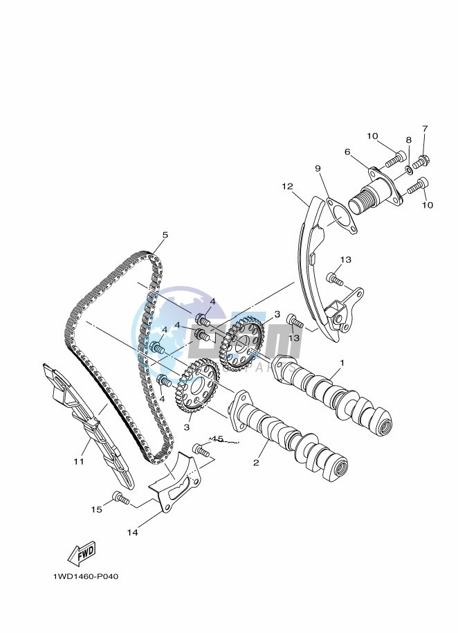 CAMSHAFT & CHAIN