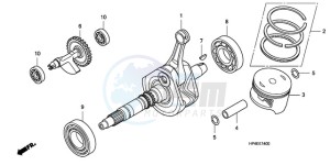 TRX420TMA Australia - (U / 2WD) drawing CRANK SHAFT/PISTON