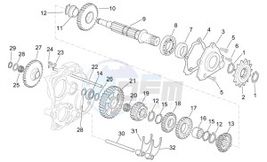 RS 250 drawing Driven shaft