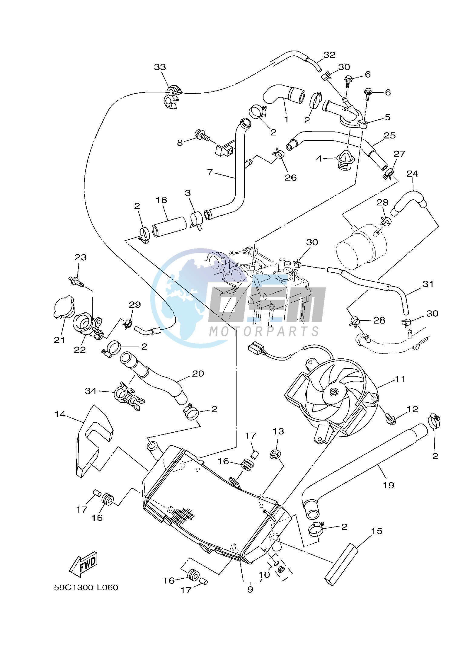 RADIATOR & HOSE