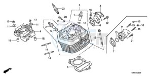 CRF100F9 Europe Direct - (ED / CMF) drawing CYLINDER HEAD