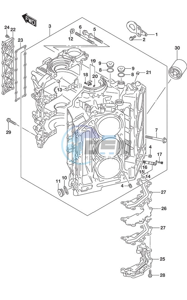 Cylinder Block DF 250S