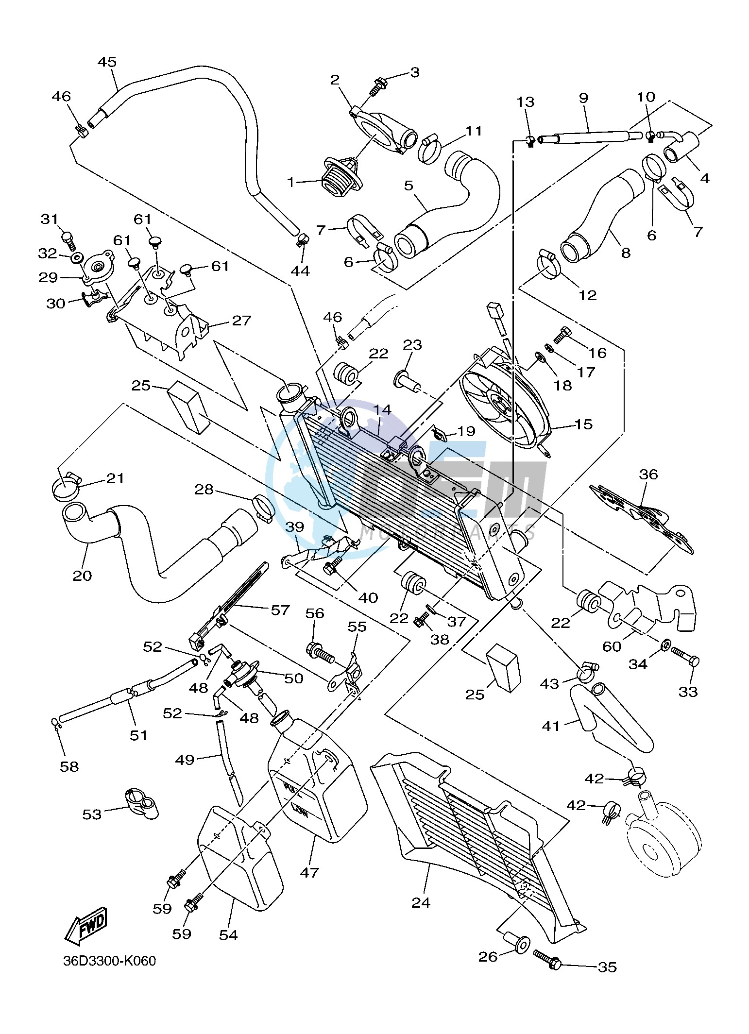 RADIATOR & HOSE