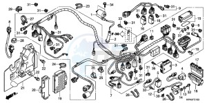 TRX420FPEC drawing WIRE HARNESS