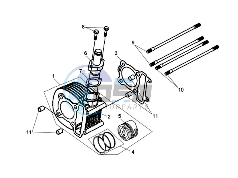 CYLINDER / GASKETS