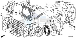 TRX500FM2E TRX500FM2 U drawing RADIATOR