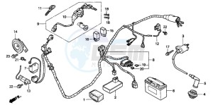 SFX50MM drawing WIRE HARNESS/ IGNITION COIL/BATTERY