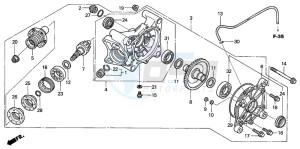 TRX650FA drawing FINAL DRIVEN GEAR