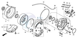 TRX420TM FOURTRAX drawing REAR BRAKE PANEL