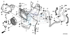 SH125C drawing RADIATOR