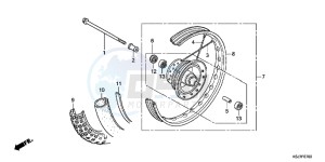 CRF100FD CRF100F Europe Direct - (ED) drawing FRONT WHEEL