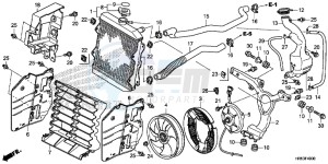 TRX500FM5F TRX500FM Europe Direct - (ED) drawing RADIATOR