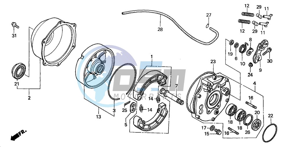 REAR BRAKE PANEL