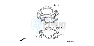 CRF250RD CRF250R Europe Direct - (ED) drawing CYLINDER