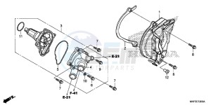 CBR1000S1 2ED - (2ED) drawing WATER PUMP