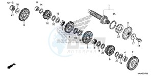 NC750SDG NC750X Europe Direct - (ED) drawing TRANSMISSION (COUNTERSHAFT) (NC750SD)